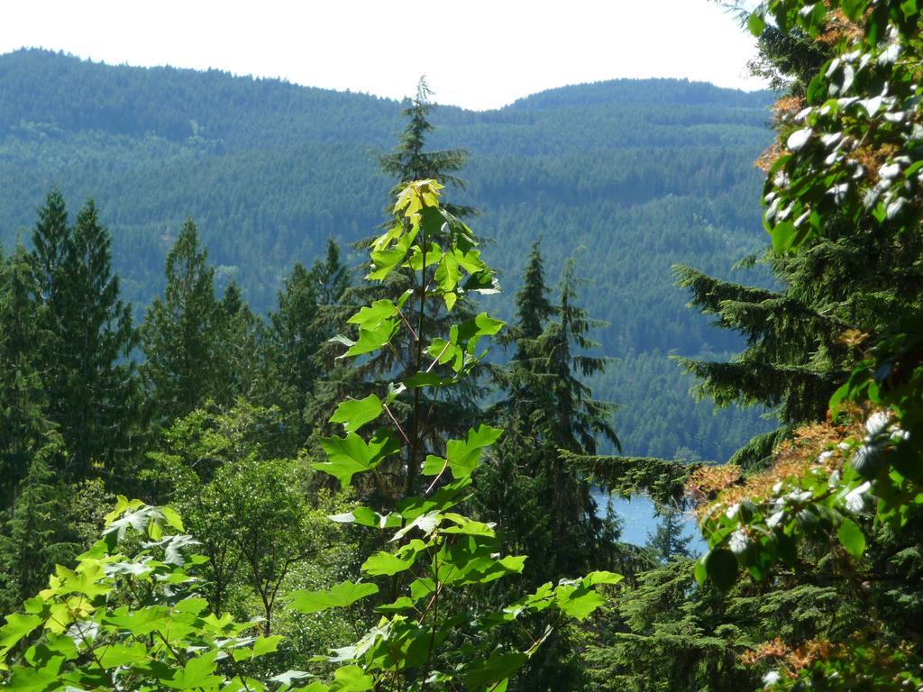 Davis Brook Retreat Bed and Breakfast Sechelt Exteriör bild