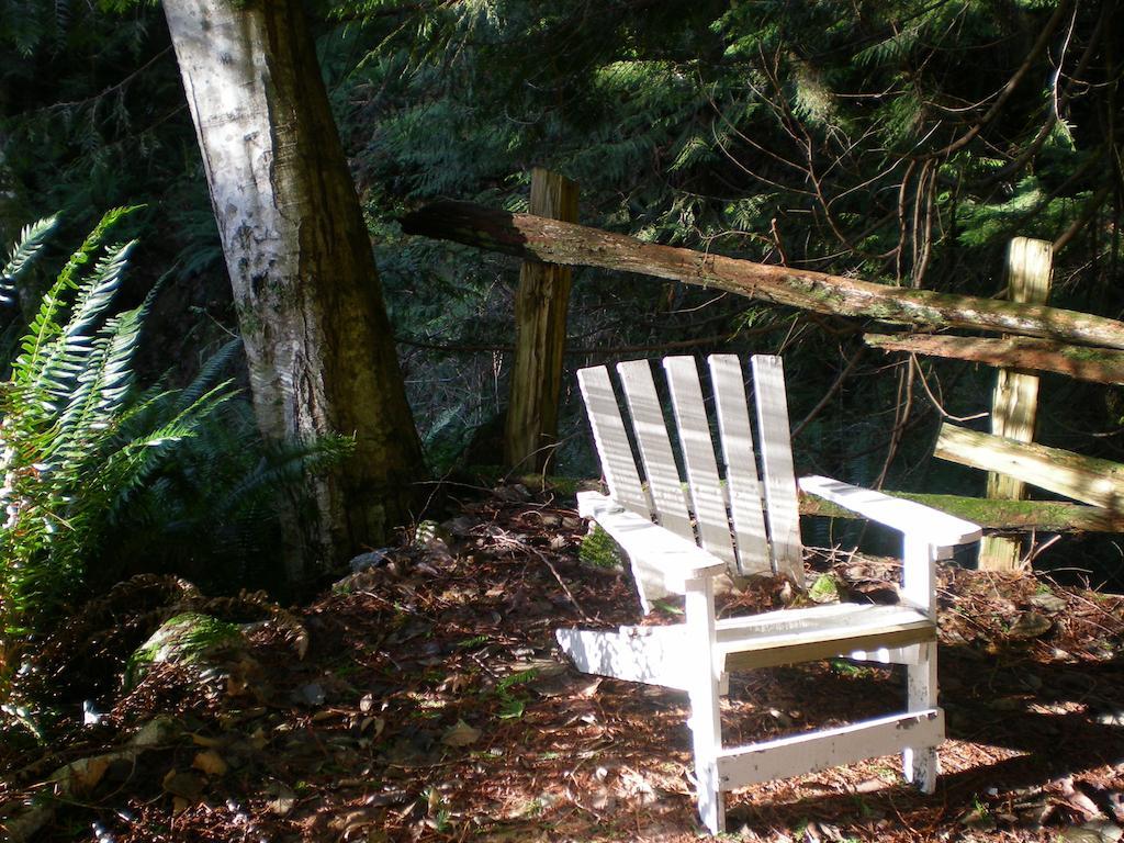 Davis Brook Retreat Bed and Breakfast Sechelt Exteriör bild