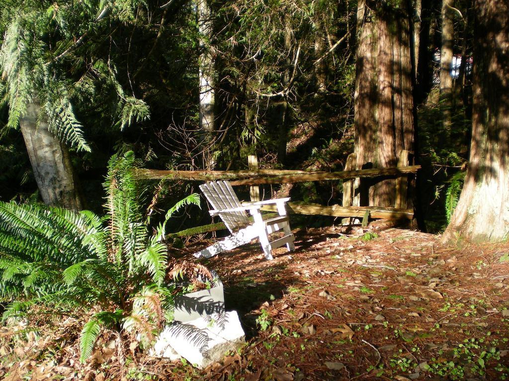 Davis Brook Retreat Bed and Breakfast Sechelt Exteriör bild