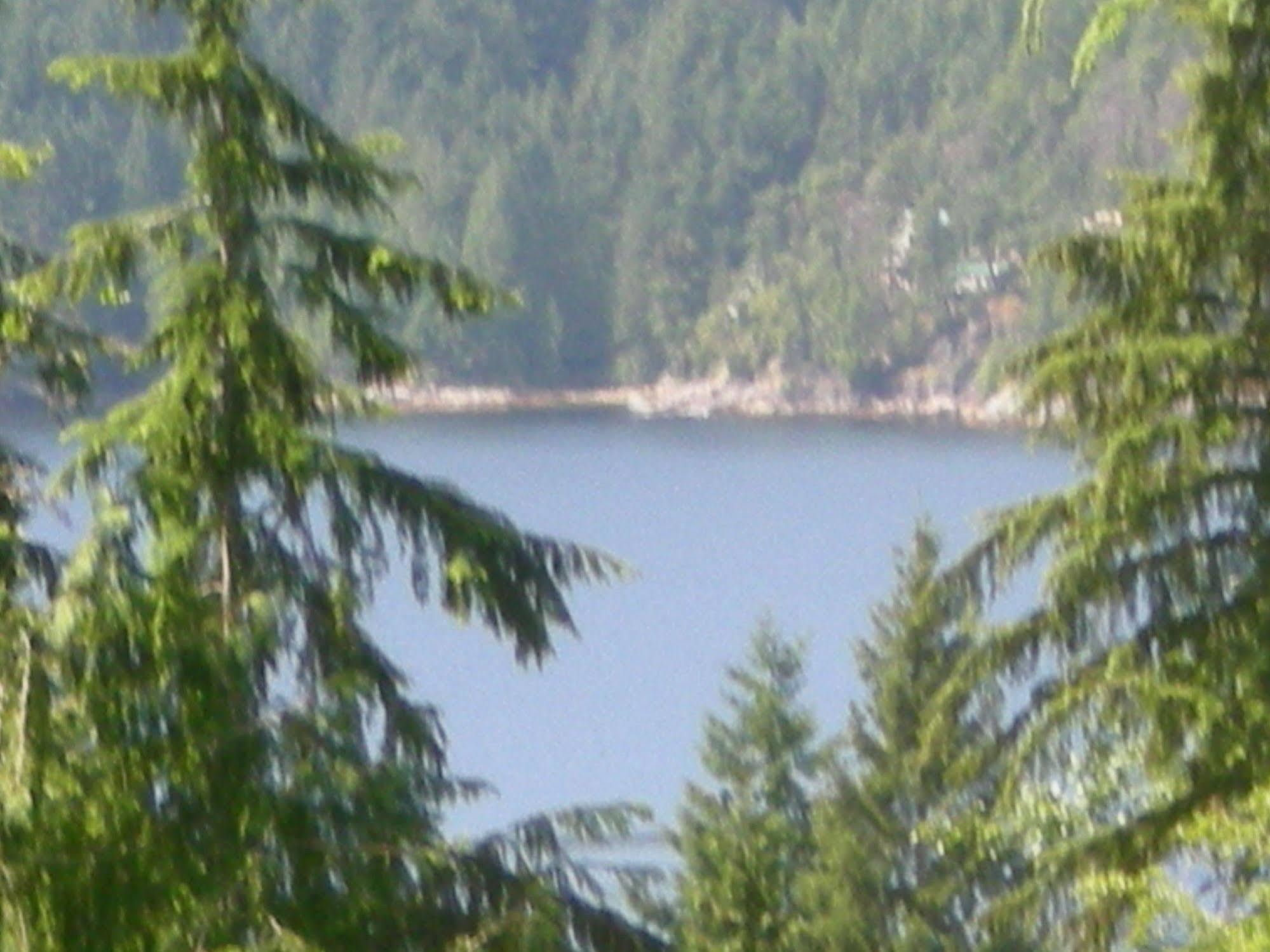 Davis Brook Retreat Bed and Breakfast Sechelt Exteriör bild